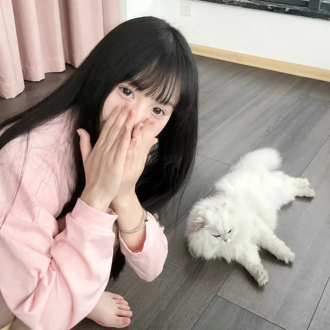 乌龙鸳鸯智多星